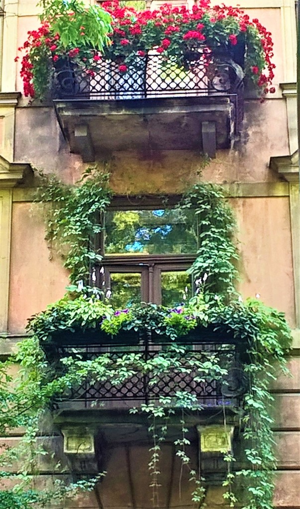 vehreä ikkuna ja parveke